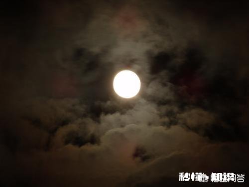 有喜欢的人却追求不到，你如何看待这种状况该怎么办