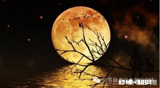 有喜欢的人却追求不到，你如何看待这种状况该怎么办