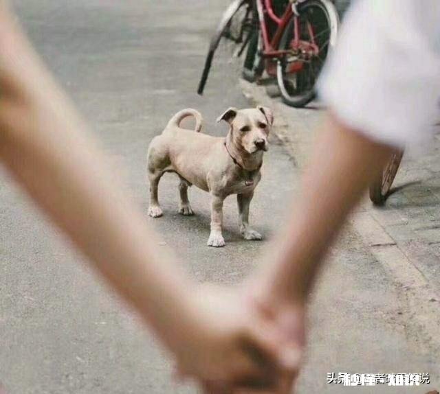 怎样处理对象和手游的关系