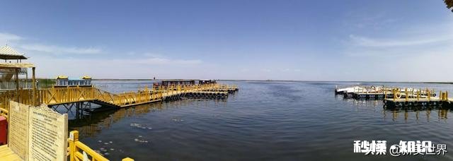 羊肉哪里的最好