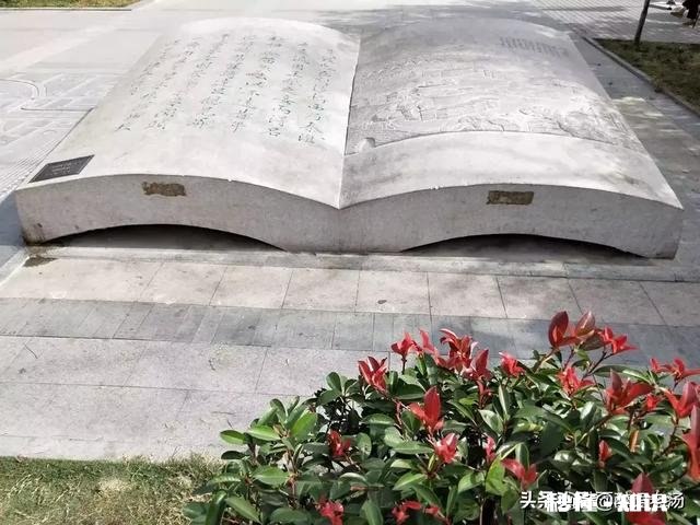 “乏味的老书”真的过时了吗为什么