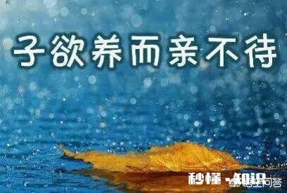 你怎么理解“可怜天下父母心”这句话