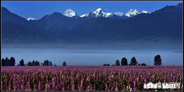 打算七月中旬从西藏阿里到新疆自驾游，时间计划四十天左右，路线怎么规划谢谢