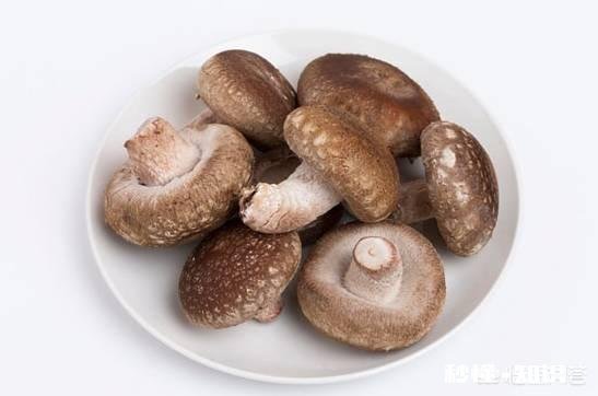 香菇煲鸡汤有什么营养价值