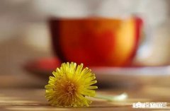 生气时说的话是真的吗