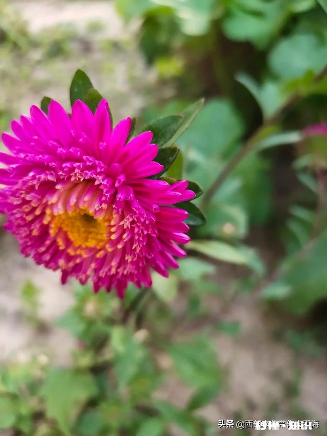 我问她“如果有一个人喜欢你，你是什么感觉”，她回答“没感觉”，这是拒绝么