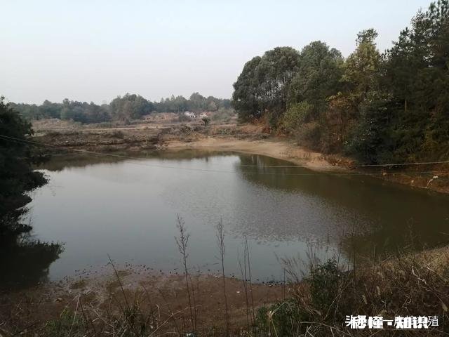 养殖户们来说说哪些品牌的禽药值得推荐