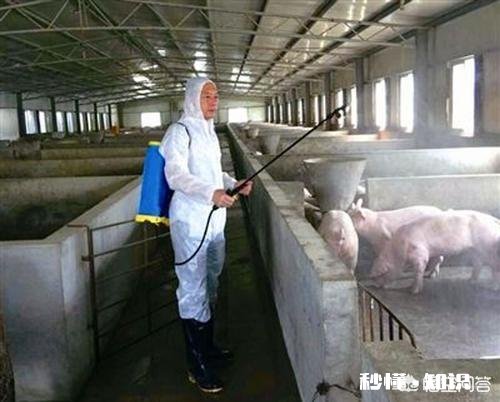 火碱受潮还能用猪舍消毒吗