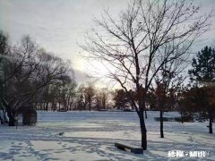 假如可以重启2020,你将如何