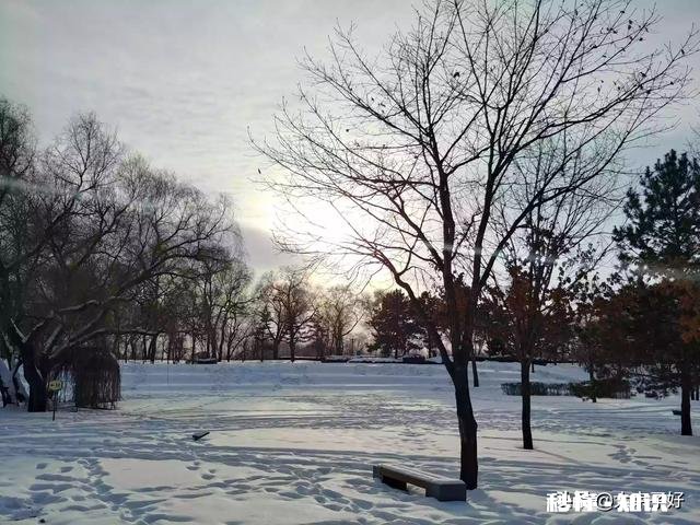 假如可以重启2020,你将如何