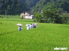 在福州市买了房，户口也从福建省的农村移到福州了，社报等其它需要转移吗