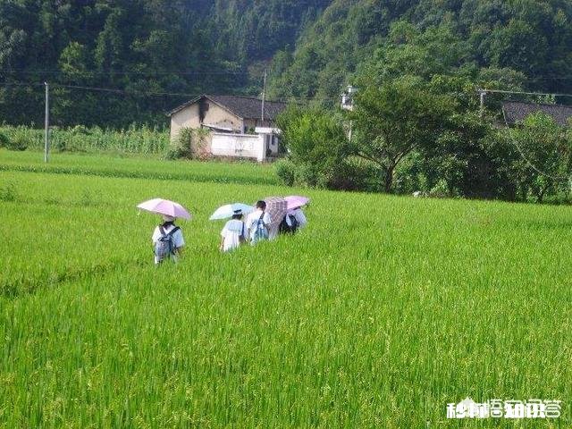 在福州市买了房，户口也从福建省的农村移到福州了，社报等其它需要转移吗