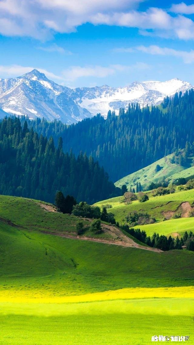 图文作品和视频作品不是一类，会影响推荐量吗