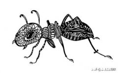 图文作品和视频作品不是一类，会影响推荐量吗