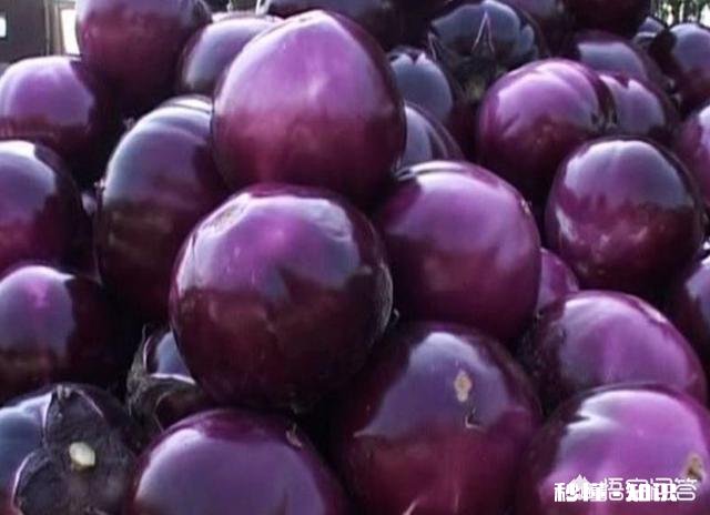 茄子地里的杂草怎样才能除掉