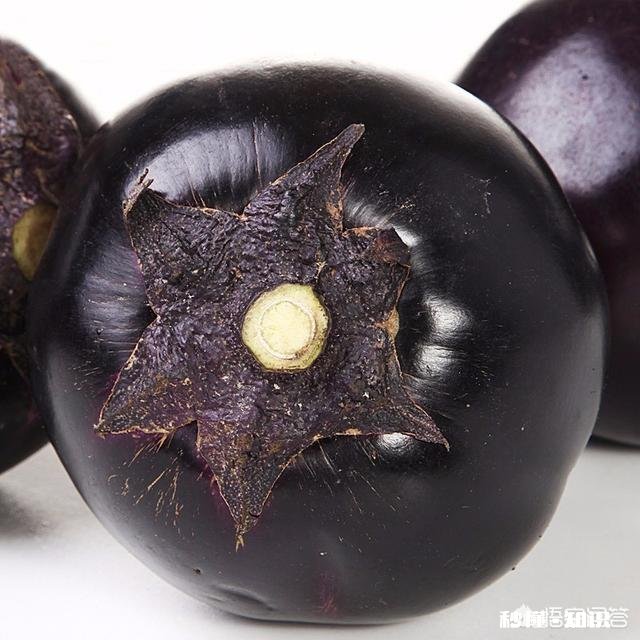 茄子地里的杂草怎样才能除掉