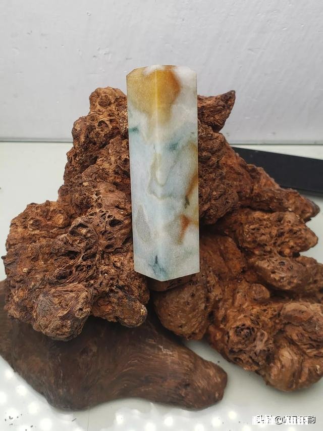 都说树瘤很值钱，谁见过这样的树瘤，有人买吗