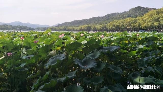 哪首诗最能体现泰山的独尊哪首诗最能表达西湖的景美