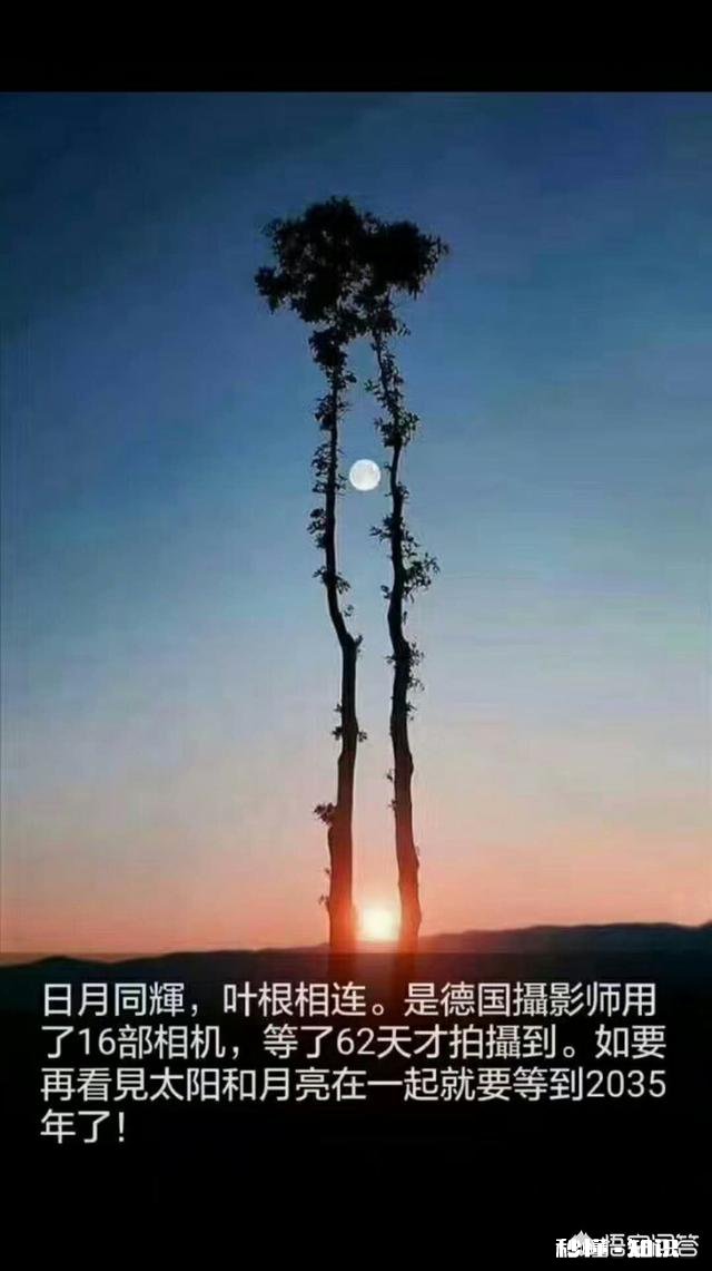 如何对付不认识的远房亲戚