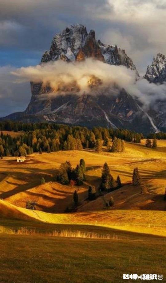 如何对付不认识的远房亲戚