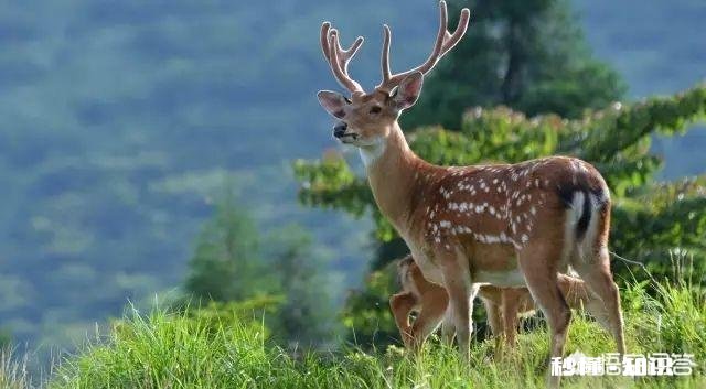 为什么有人说一个人没有理由不喜欢自己的样子你喜欢你的样子吗