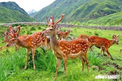 为什么有人说一个人没有理由不喜欢自己的样子你喜欢你的样子吗