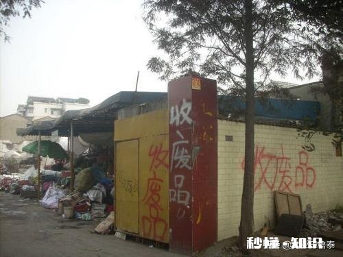 2020年。就是今年适合做什么行业比较有发展