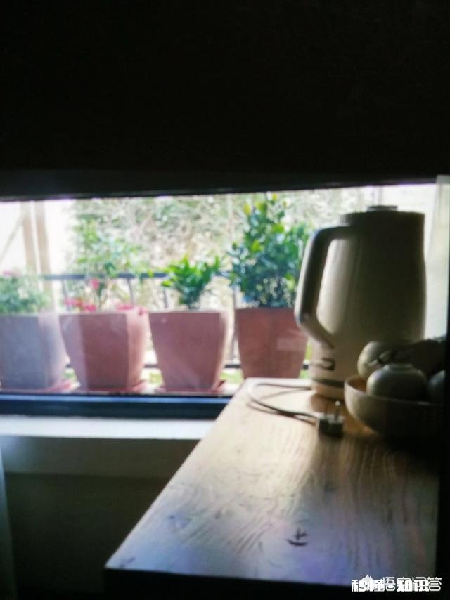 广元城区最美的民宿客栈有哪些