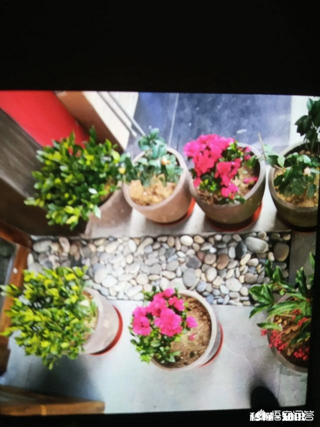 广元城区最美的民宿客栈有哪些