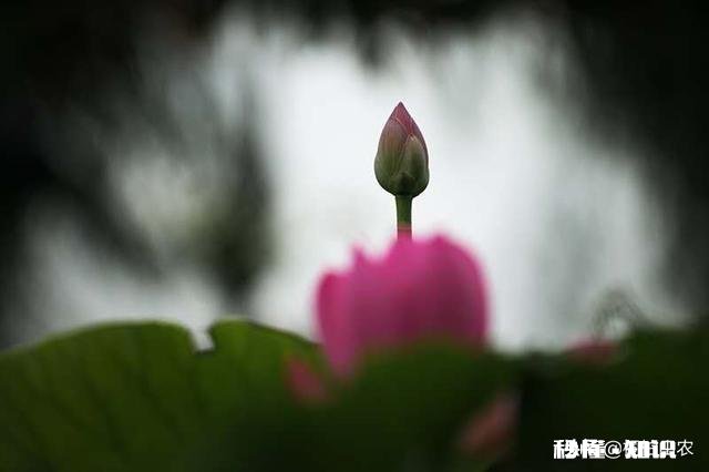 每次我男朋友送我东西室友都用各种话挤兑我酸我，这样的室友还算得上朋友吗