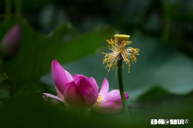 每次我男朋友送我东西室友都用各种话挤兑我酸我，这样的室友还算得上朋友吗