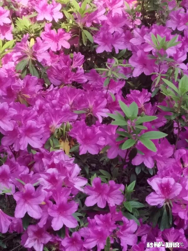 每次我男朋友送我东西室友都用各种话挤兑我酸我，这样的室友还算得上朋友吗