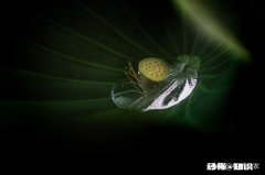 每次我男朋友送我东西室友都用各种话挤兑我酸我，这样的室友还算得上朋友吗