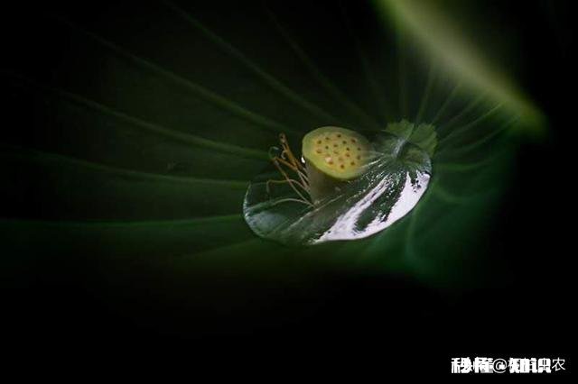 每次我男朋友送我东西室友都用各种话挤兑我酸我，这样的室友还算得上朋友吗