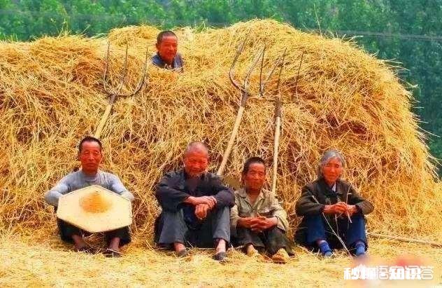 除嫁人以外 你身边有女生靠自己脱离现有阶层的例子吗