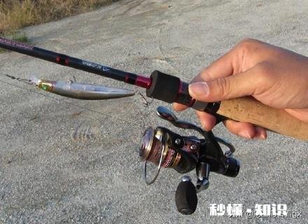 渔轮在垂钓中扮演了什么角色要怎么去选择呢