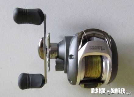 渔轮在垂钓中扮演了什么角色要怎么去选择呢