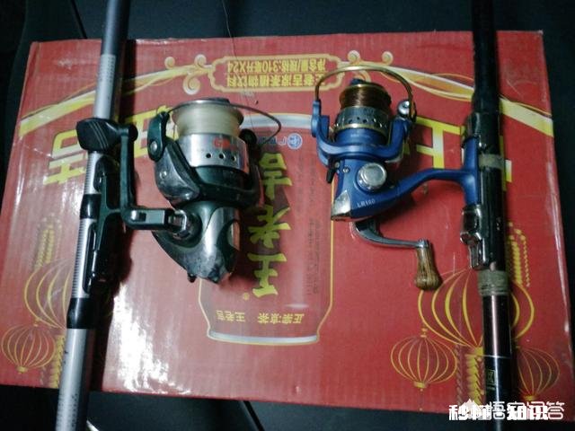 渔轮在垂钓中扮演了什么角色要怎么去选择呢