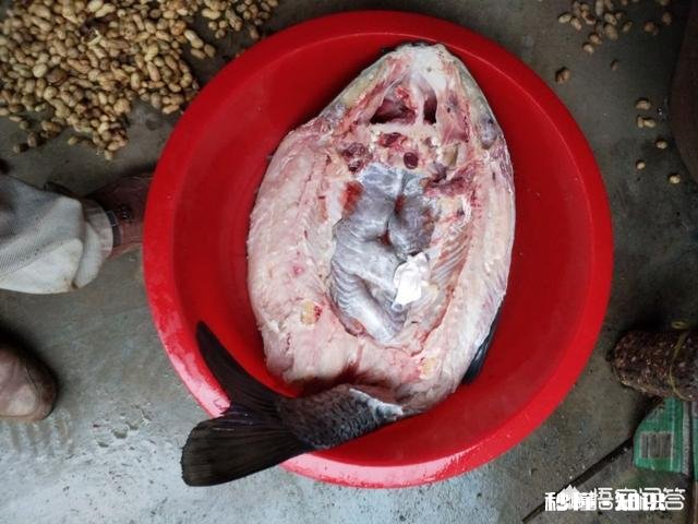 渔轮在垂钓中扮演了什么角色要怎么去选择呢