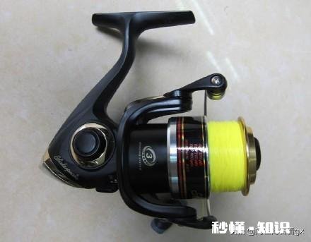 渔轮在垂钓中扮演了什么角色要怎么去选择呢