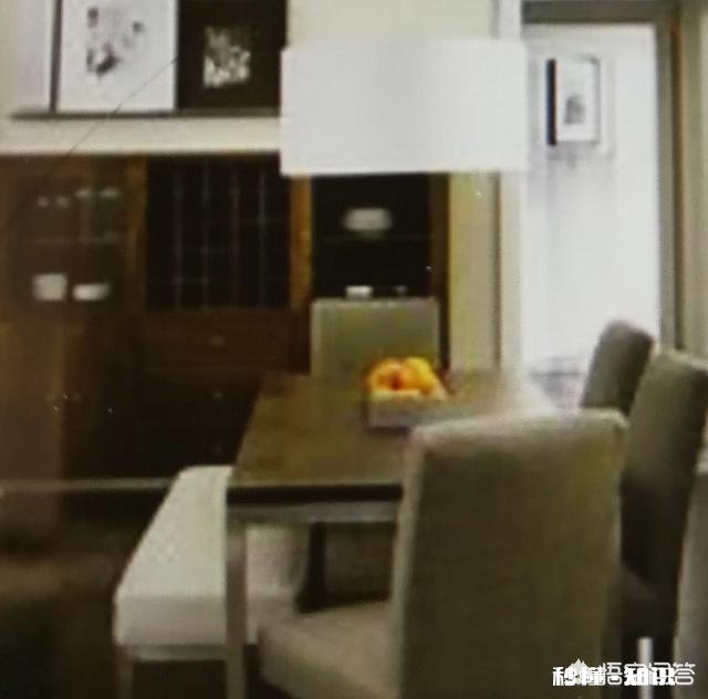 有哪些网络综艺节目哪些网络综艺节目好看