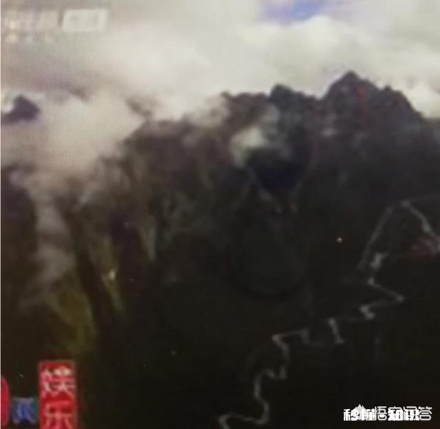 有哪些网络综艺节目哪些网络综艺节目好看