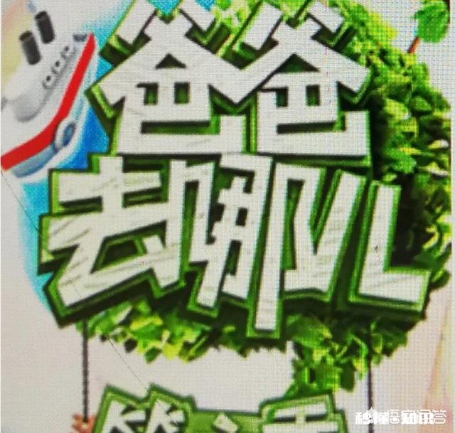 有哪些网络综艺节目哪些网络综艺节目好看