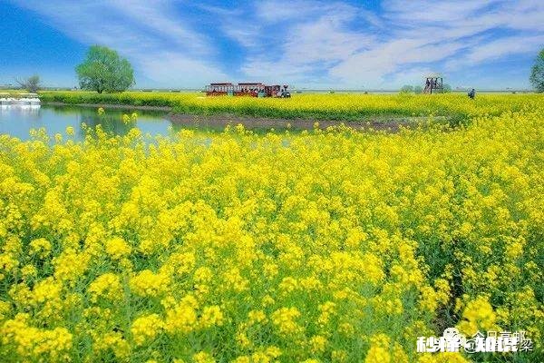 你们喜欢哲学吗为什么