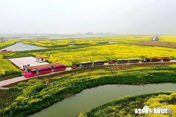 你们喜欢哲学吗为什么