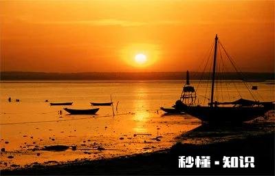 今年春晚你想看哪些笑星的节目，为什么