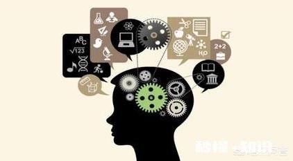 初入职场没人教怎么办