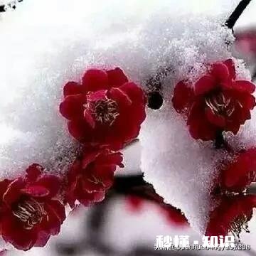 有人说“爱情中，好的感情，是两个人彼此的成长”你怎么看