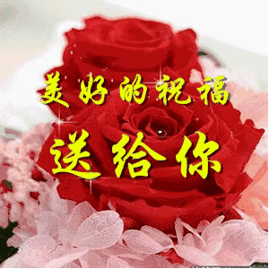 有人说“爱情中，好的感情，是两个人彼此的成长”你怎么看