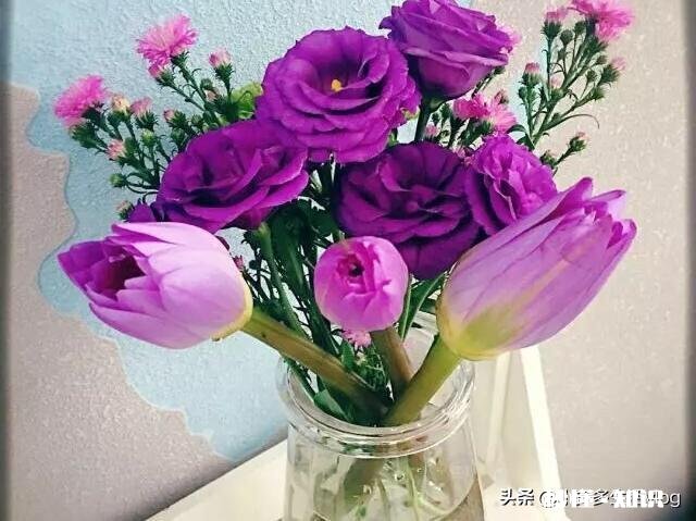 有人说“爱情中，好的感情，是两个人彼此的成长”你怎么看